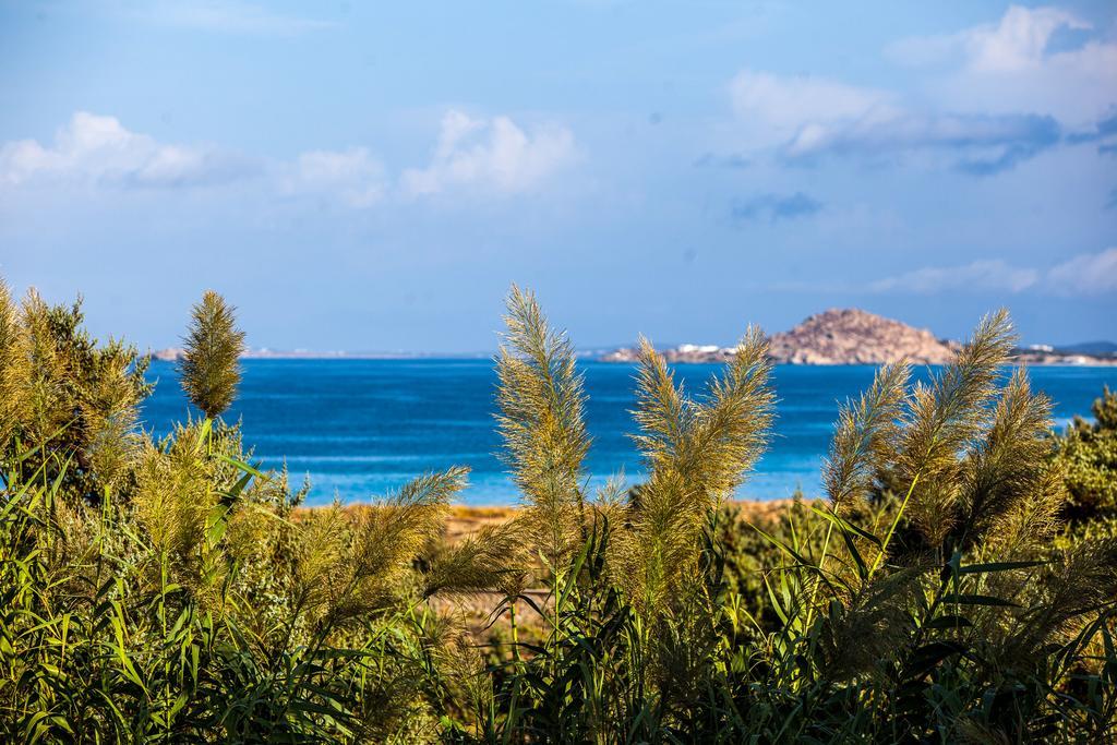 Villa Alyko Aliko Beach Екстериор снимка