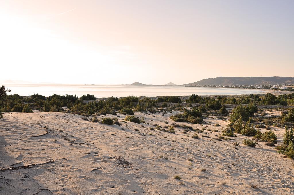 Villa Alyko Aliko Beach Екстериор снимка